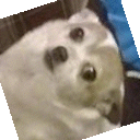 @layttos's avatar