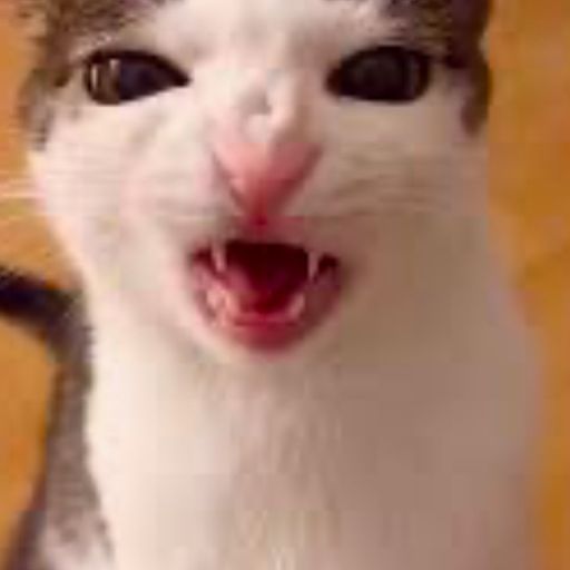 @yappocado's avatar