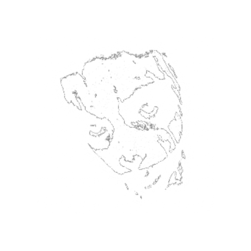 @spotify's avatar