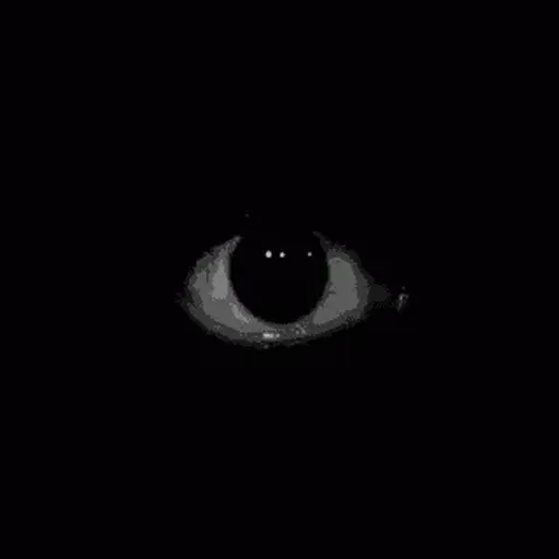 @100talles's avatar