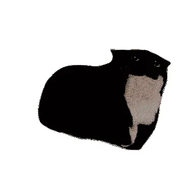 @fi's avatar
