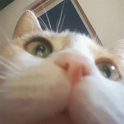 @kyoto333's avatar