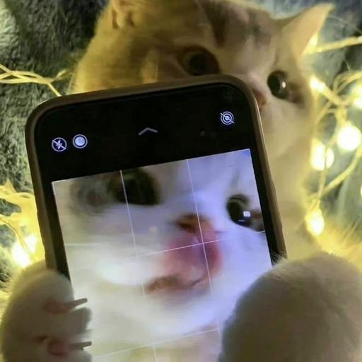 @mikeyy's avatar