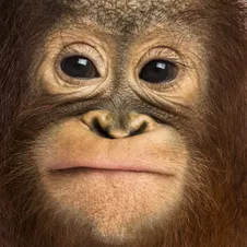 @phoenic.cs's avatar