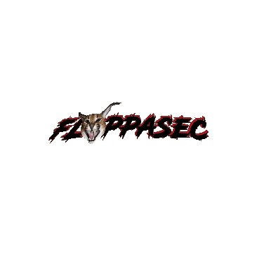 @usrfloppa's background