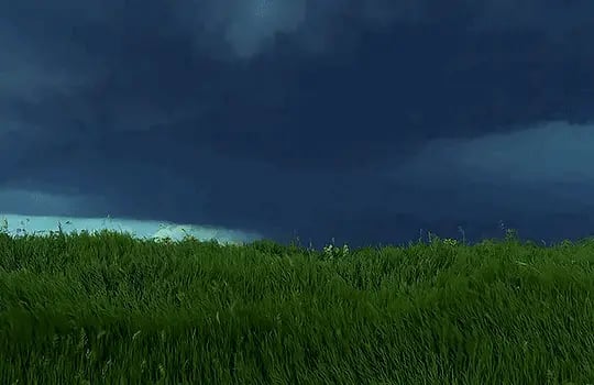 @8.5.0's background