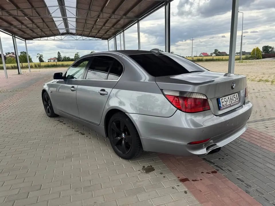 @zpiatnicy's background