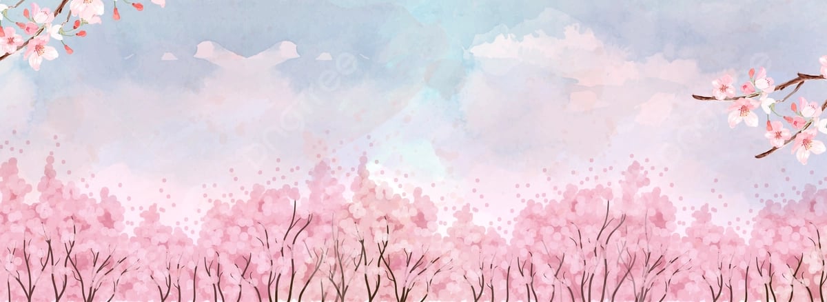 @hauka6210's background