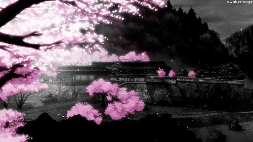 @Crypting's background